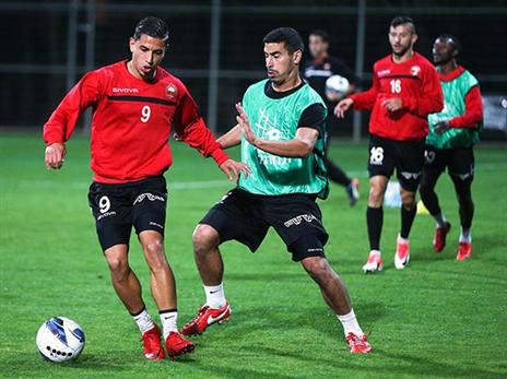 (סוכנות ג'יני)