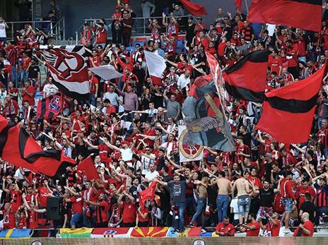 אוהדי הפועל חיפה רחוקים 90 דקות מזכייה בגביע (צילום: אלן שיבר)