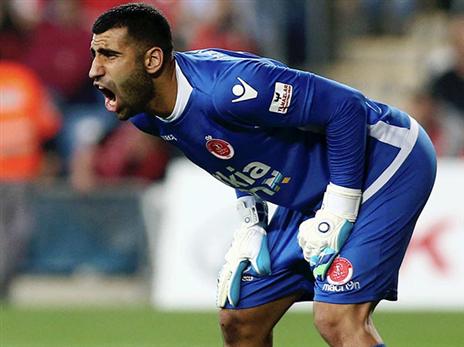 יאנקו. יחזור להרכב (אלן שיבר)