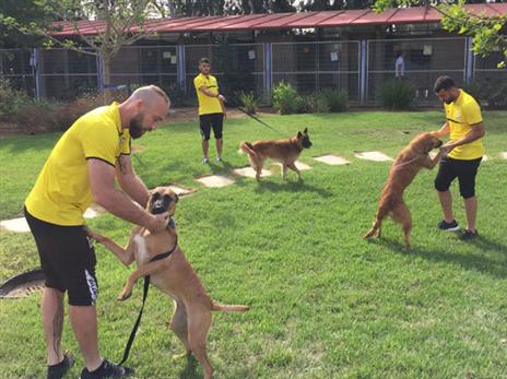 פעילות מבורכת. שחקני נתניה בכלבייה