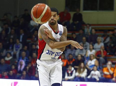 פלדין מרוכז (פיב"א)