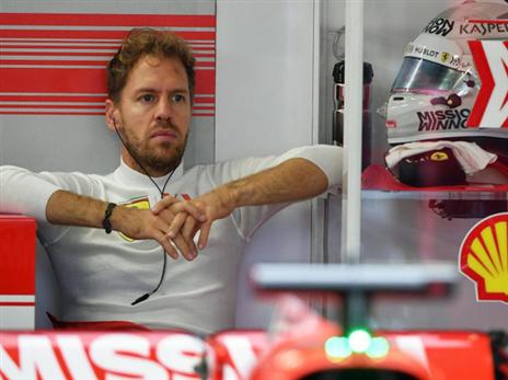 פטל. מביט קדימה לעונה הבאה