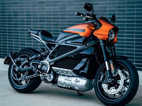 בהארלי דיוודסון רוכבים על מתח גבוה (צילום: יצרן)