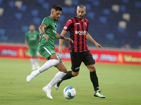 אראל. סיבוב חדש (אלן שיבר)