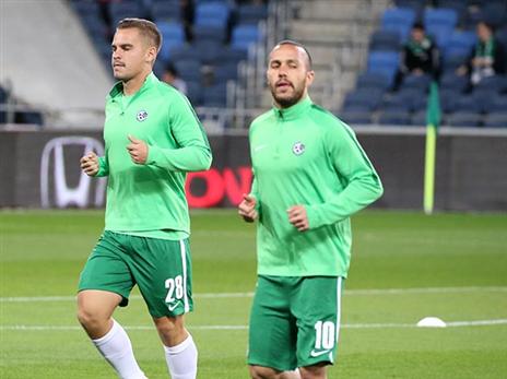 ערך בכורה בירוק. פריי (יוסי שקל)