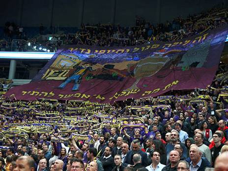 תצוגה מרשימה של הקהל הסגול (אלן שיבר)