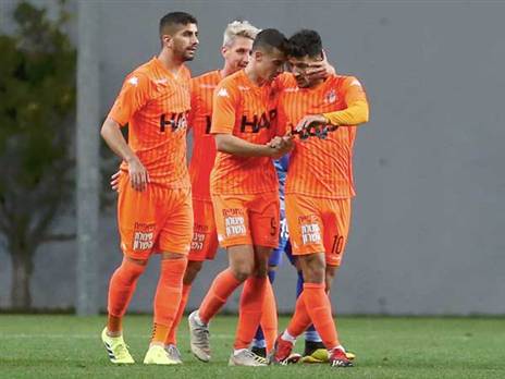 סילבסטר חוגג עם חבריו (אלן שיבר)