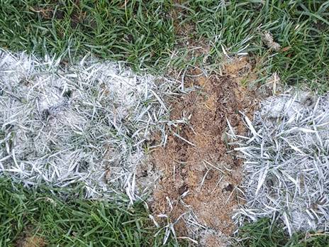 "עמוס הרס את קו השער"