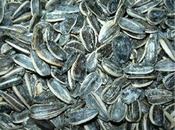 גם זה ייחודי לישראל