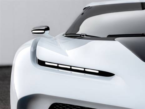 חיה חדשה על הכביש