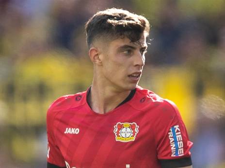 ההברקה הצעירה. האברץ (getty)