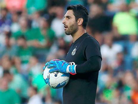 האוהדים יעודדו (אלן שיבר)