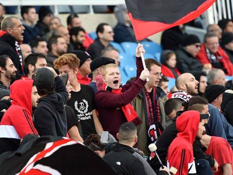 (ברני ארדוב)