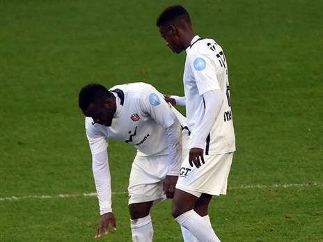 (ברני ארדוב)