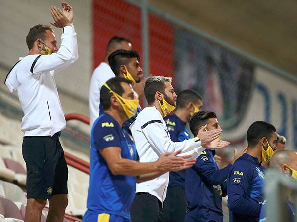 חוזרים לדשא. (אלן שיבר)