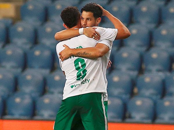 (צילום: אלן שיבר)