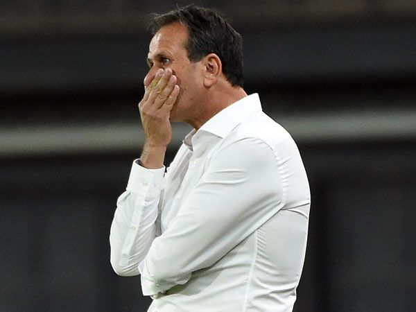 יכול להתחיל לתכנן את העונה הבאה. לוי (ברני ארדוב)