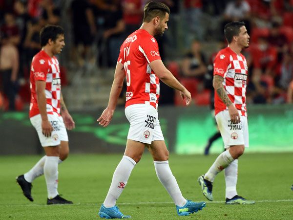 (ברני ארדוב)