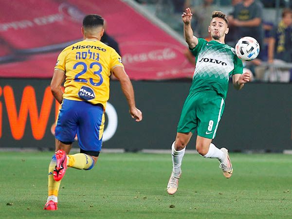 אצילי. עמד בגבורה לטענת חזיזה (אלן שיבר)