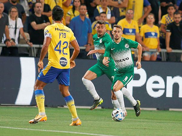 הפציעה של אצילי לא חמורה (אלן שיבר)