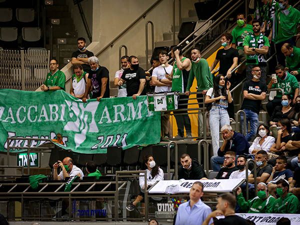 (מאור אלקסלסי)