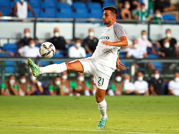 דוד. חסר תכלס (אלן שיבר)