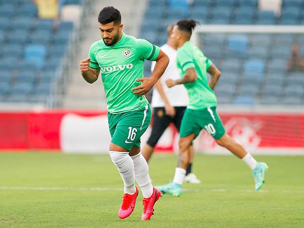 אבו פאני. לא ישחק עד ינואר? (אלן שיבר)