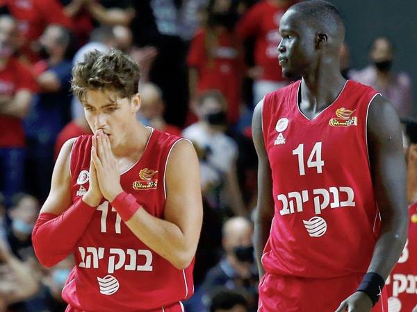 לא בטוח שהכישרון מספיק (אלן שיבר)