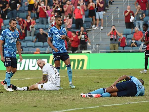 (ברני ארדוב)