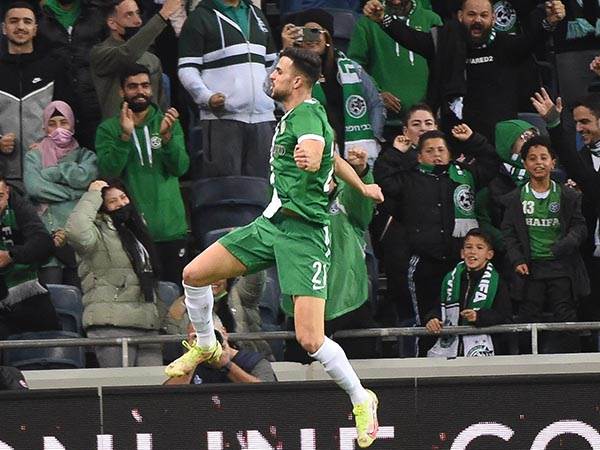 דין דוד הפעלות (ברני ארדוב)