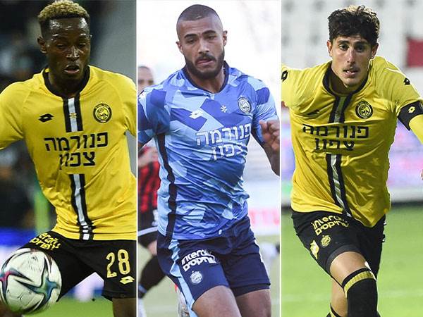 (ברני ארדוב)