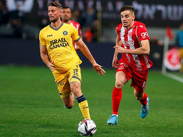 שמיר (אלן שיבר)