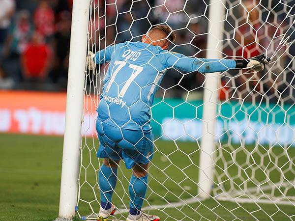 נקלע לסיטואציה לא פשוטה. פוקס (אלן שיבר)