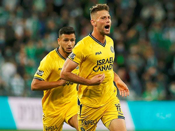 רעב לתארים (אלן שיבר)