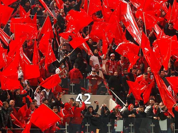 חרם המנויים ממשיך (אלן שיבר)