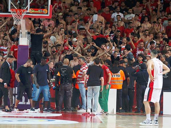 (צילום: אלן שיבר)