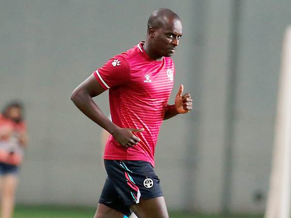 חגיגת הקרוקודיל תגיע לטדי? (דני מרון)