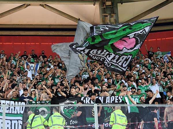 אוהדי חיפה. יגיעו לקפריסין? (האתר הרשמי של מכבי חיפה)