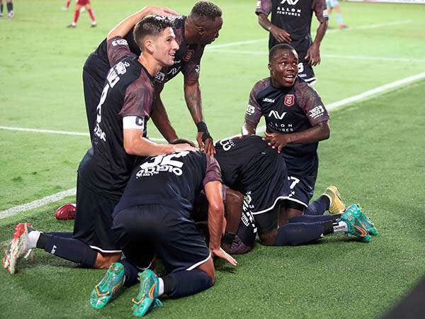 אריה לא התרשם (אלן שיבר)