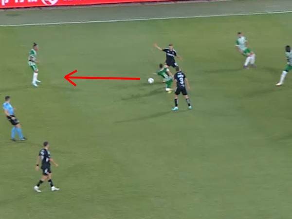 1. ההשתחררות מלחץ של לביא והמסירה לשרי