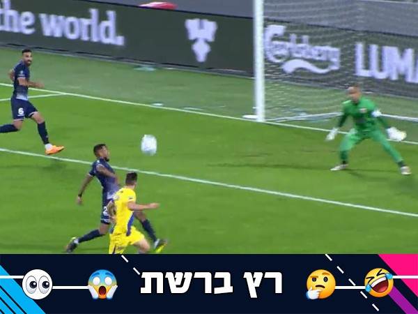 (אלן שיבר)