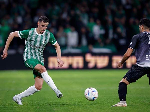 מחזיק בהצעה מפרטיזן. חזיזה (מאור אלקסלסי)