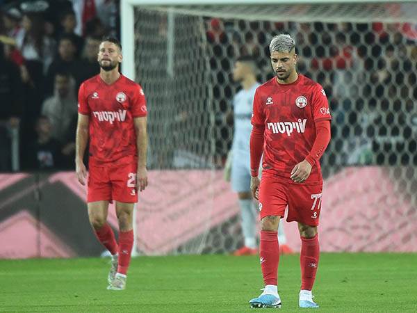 (ברני ארדוב)