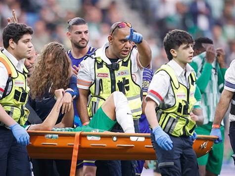 (מאור אלקסלסי)