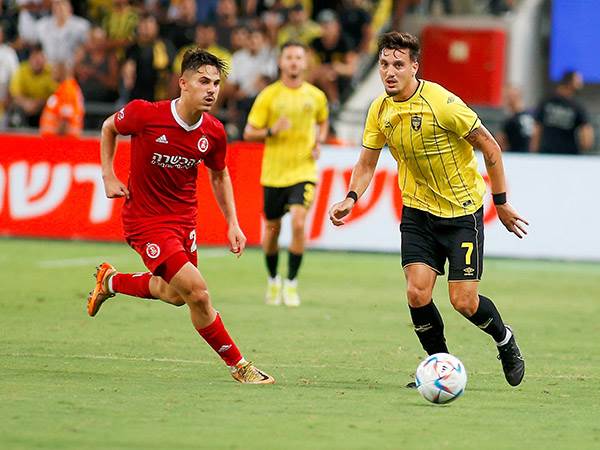 מצפים למפגש חם (אלן שיבר)