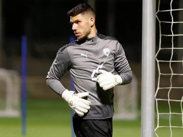 "מקבלים את הביקורת" (אלן שיבר)