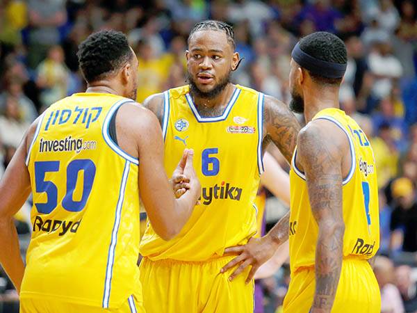 מרטין. הצטיין (אלן שיבר)