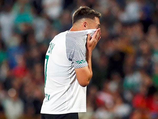 אצילי. מורט עצבים (אלן שיבר)