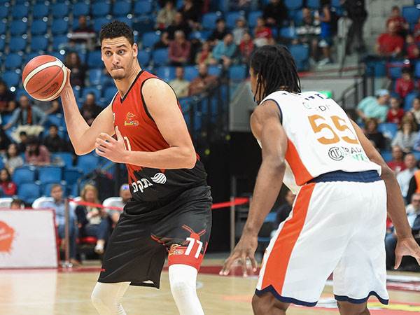 מכוון גבוה (ברני ארדוב)