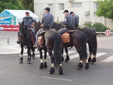 למה צריך שוטרים ביציע? (אלן שיבר)